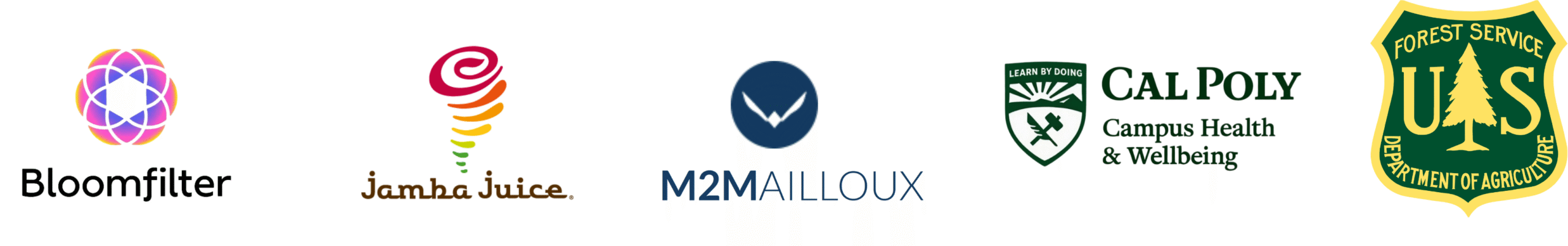 Senior Project (41 x 41 in) (5)